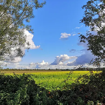 Kleine Auszeit Holiday home Walchum